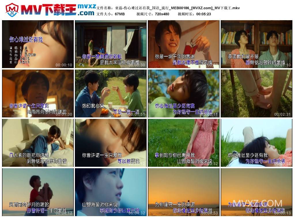 亚磊-伤心难过还有我_国语_流行_MEB00186